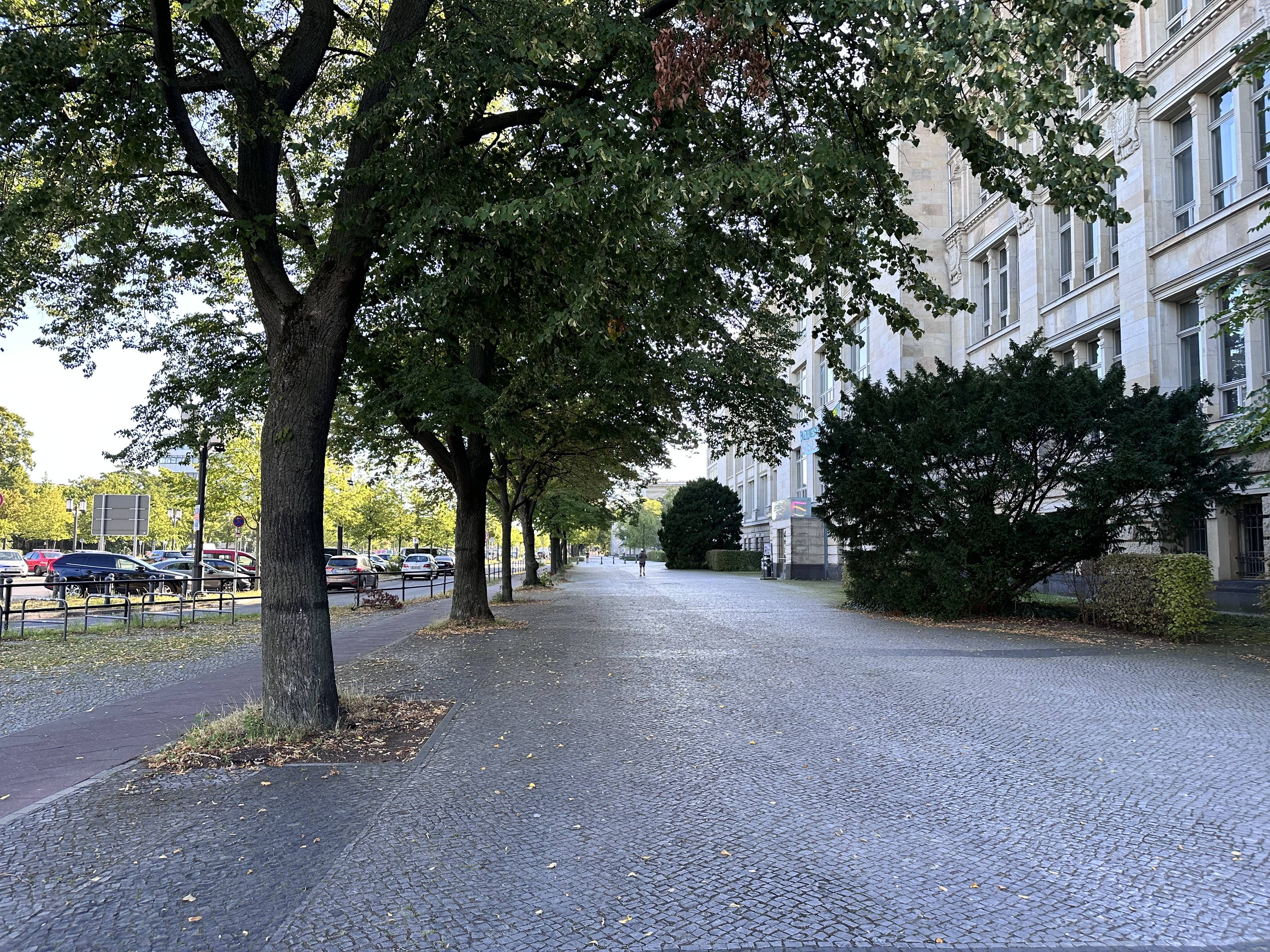 I really loved this tree-lined boulevard approaching the conference venue
